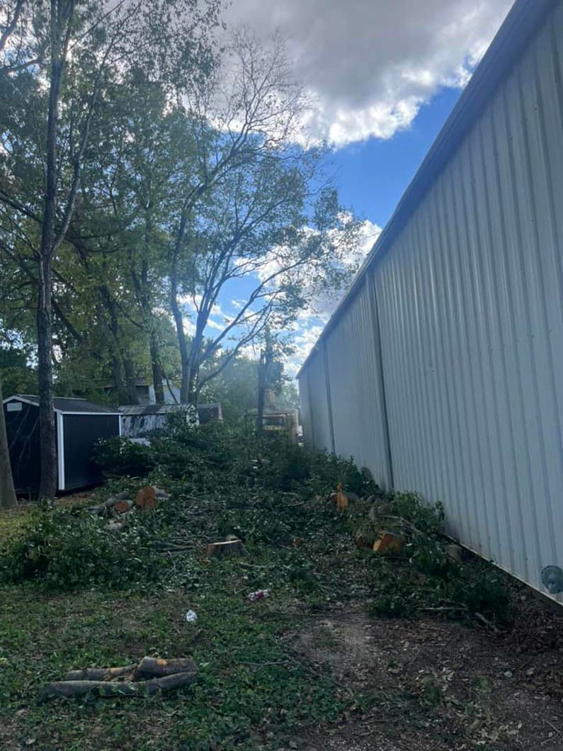 a white building with a lot of trees in front of it .