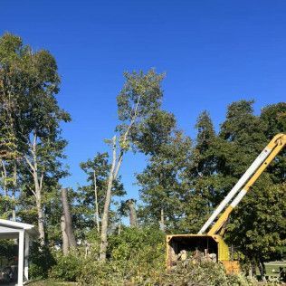 a crane is cutting down a tree in a yard .