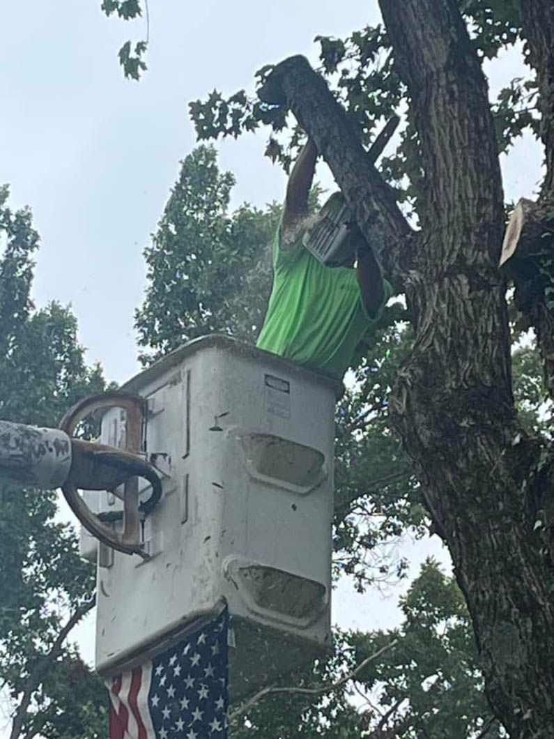 a man is cutting a tree with a chainsaw in a bucket .