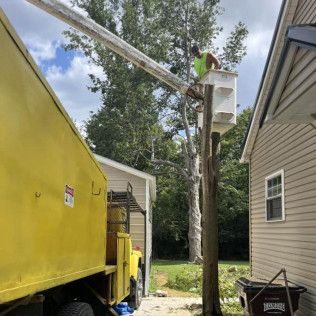 a man in a bucket is cutting a tree in front of a house .