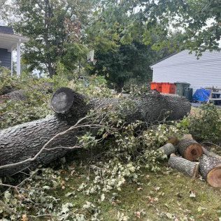 a large log is laying on the ground in front of a house .