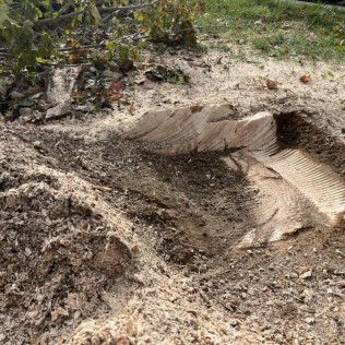 a tree stump is sitting on top of a pile of wood chips .