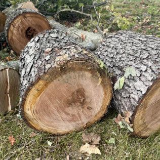 a pile of logs laying on top of each other on the ground .