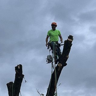 a man is standing on top of a tree stump .
