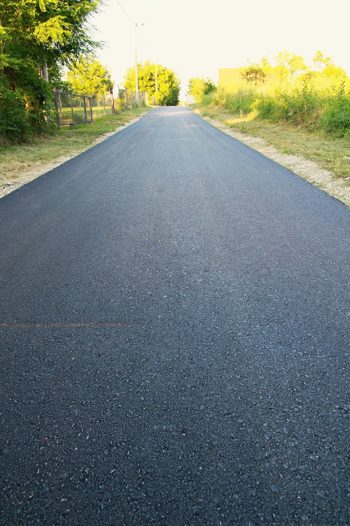 Black asphalt path stretches towards trees, bordered by green grass and foliage.