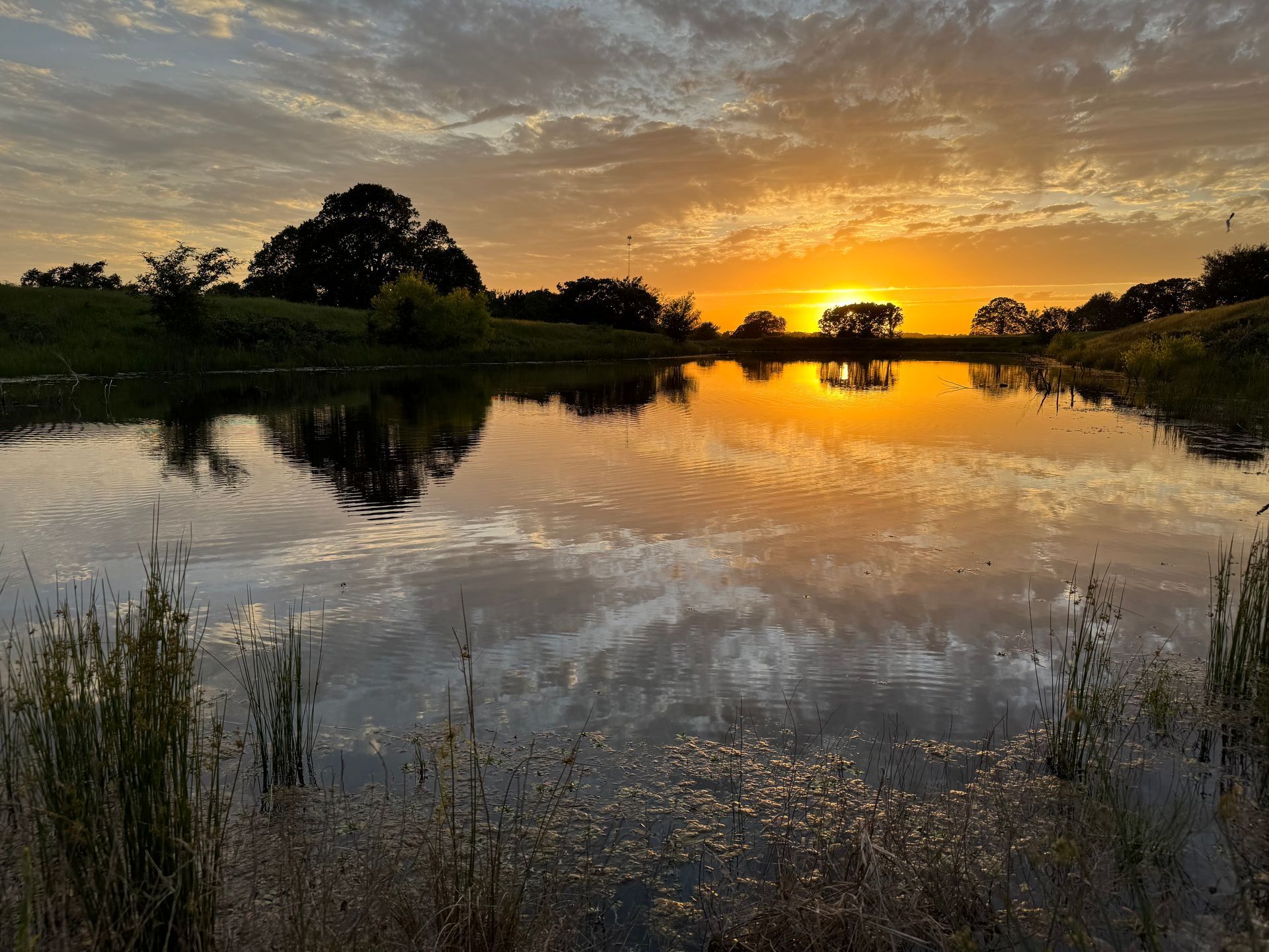 Sunset over a calm lake, reflecting sky and silhouetted trees. Orange glow, cloudy sky.