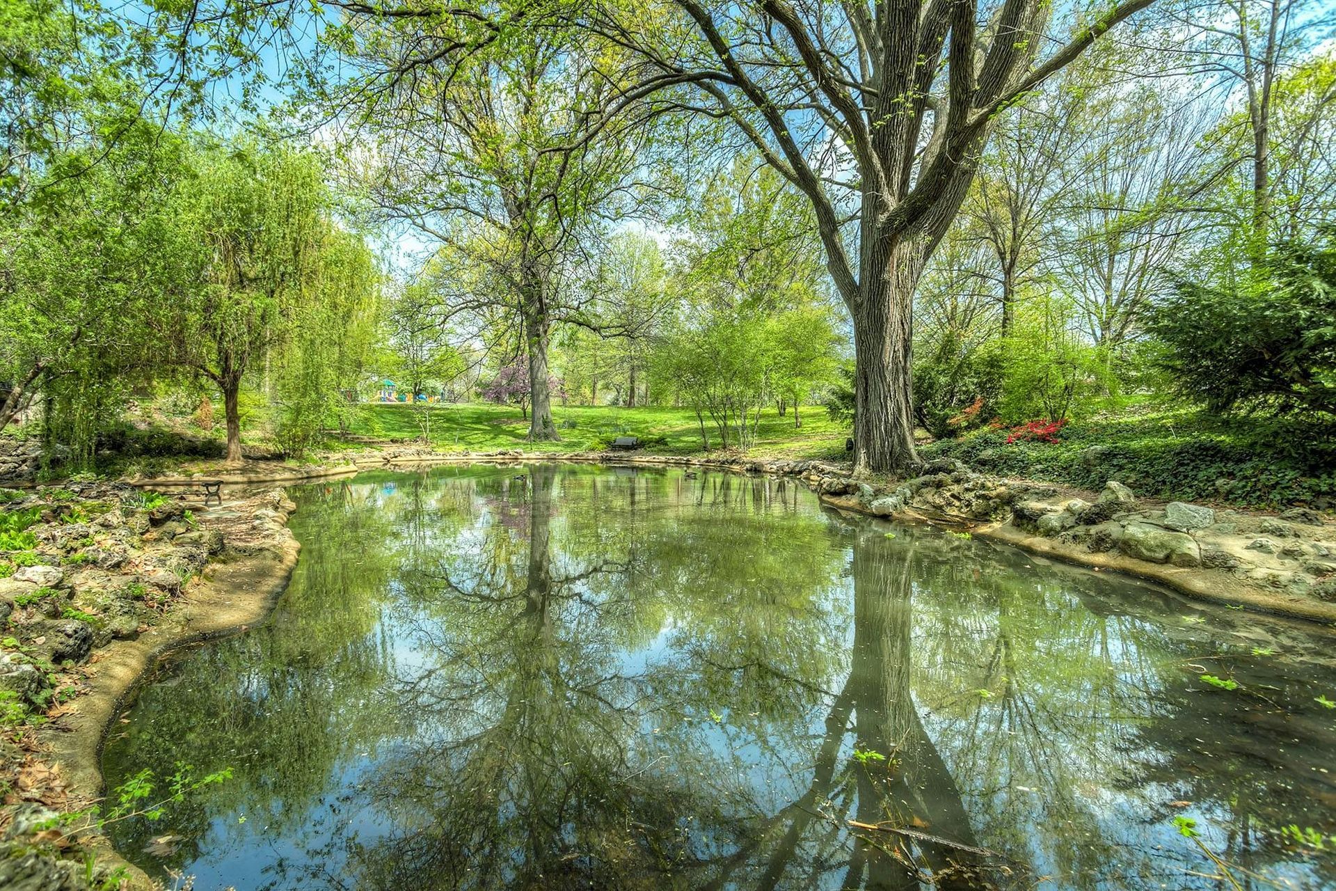 Pond reflects trees and sky on a sunny day. Green foliage surrounds the water, with light playing on the surface.