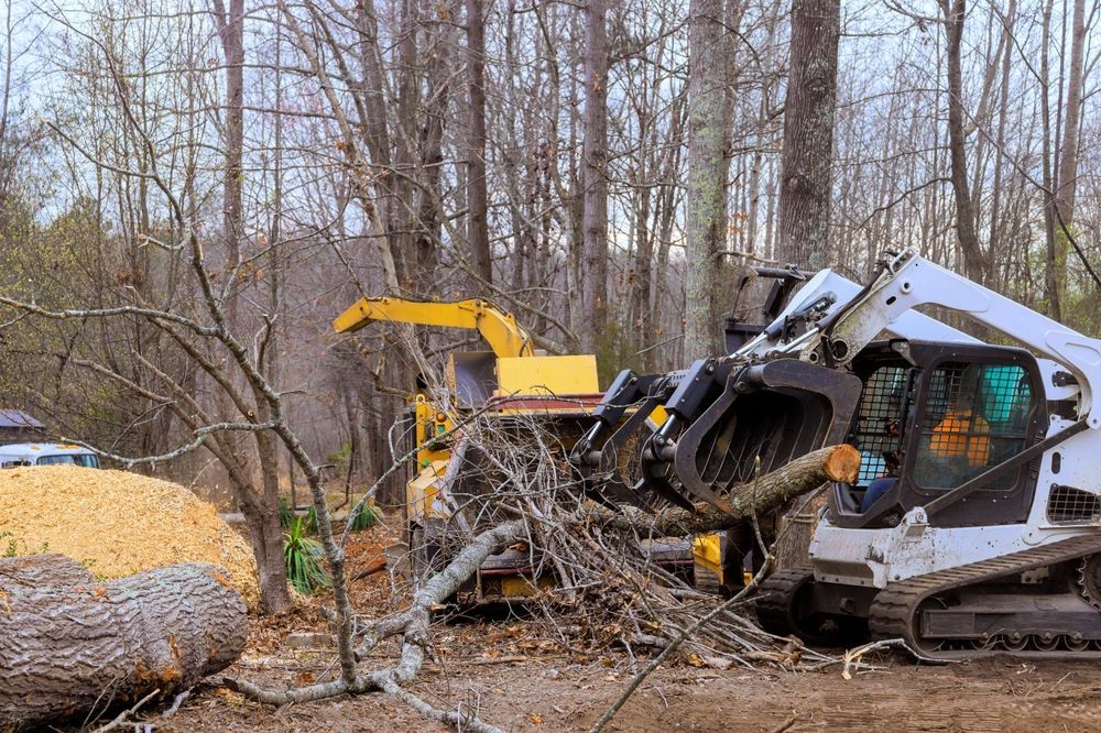 A wood chipper and skid-steer loader working in a wooded area, chipping tree branches and wood.