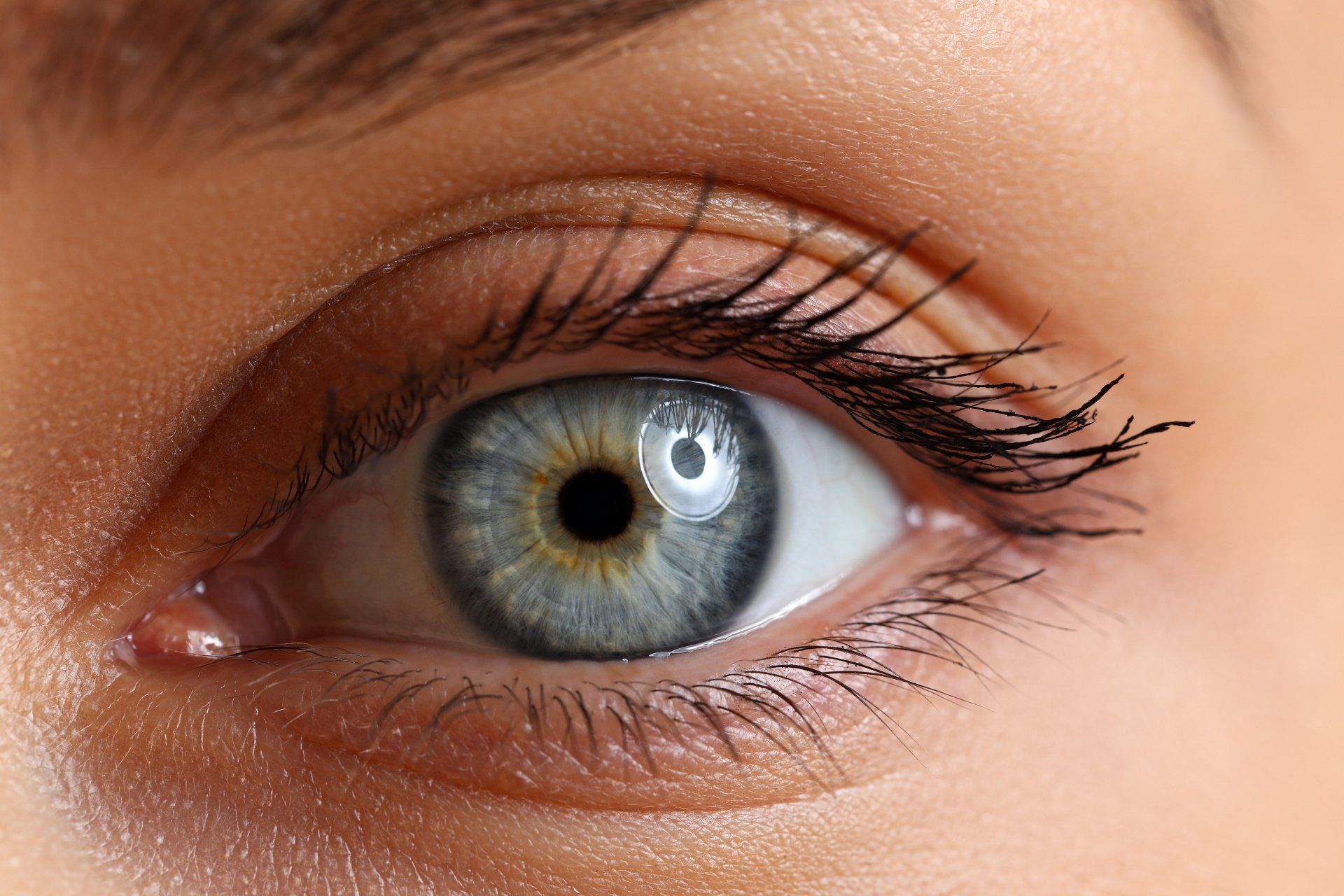 Feststellung von Linsentrübungen