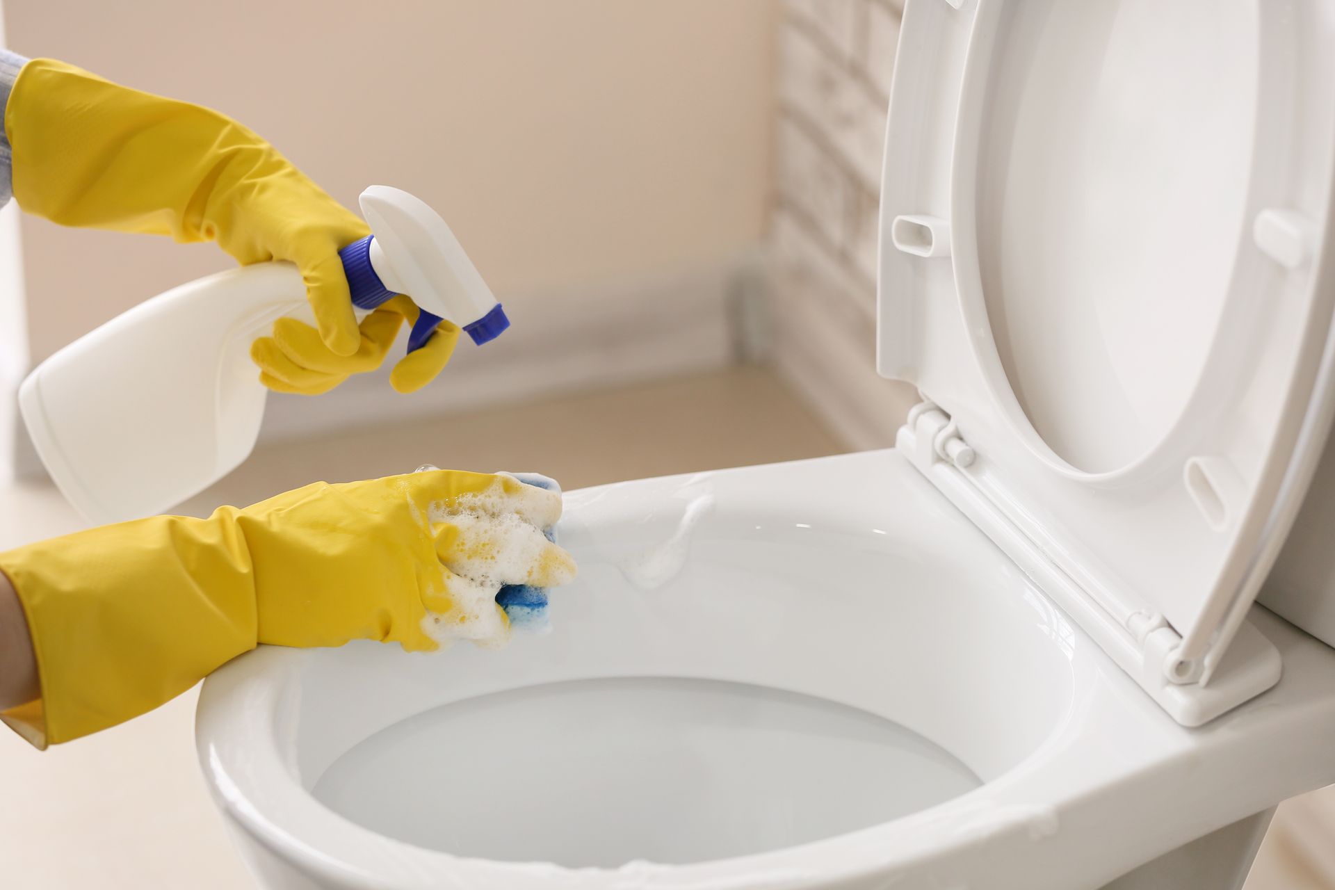 Gloved hands spraying and scrubbing a white toilet with cleaner in a bathroom Gloved hands spraying and scrubbing a white toilet with cleaner in a bathroom