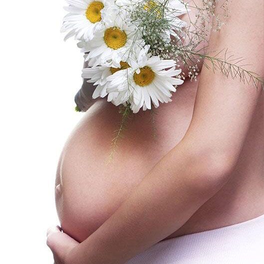 DRA MARÍA ELENA VELDERRAIN ZAZUETA