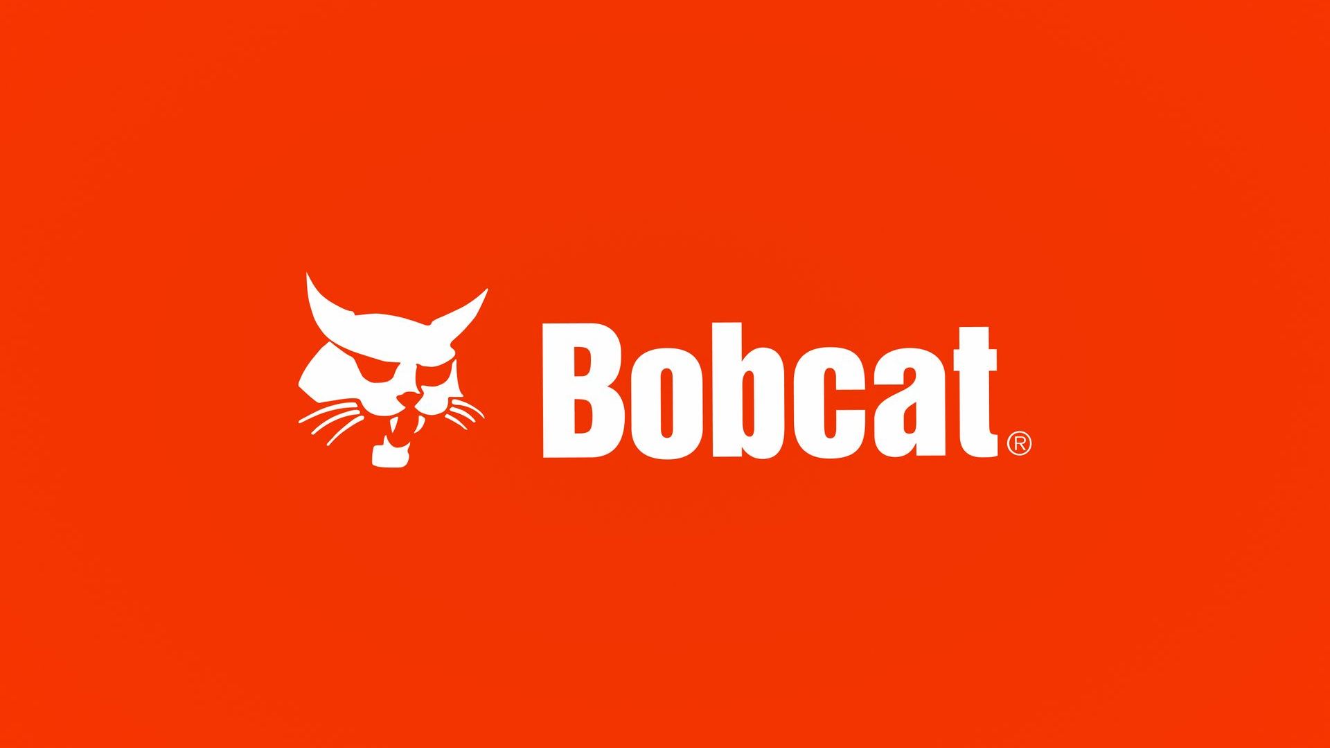 The bobcat logo is on a red background.