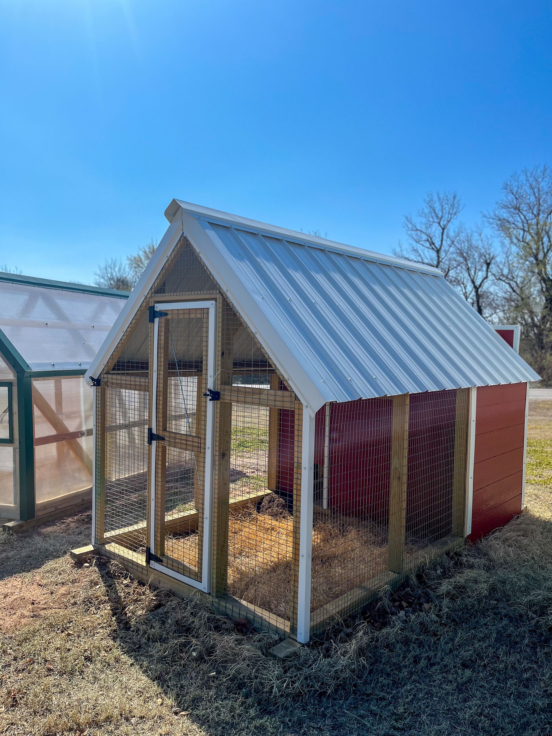 A chicken coop with a metal roof and a greenhouse in the background.
