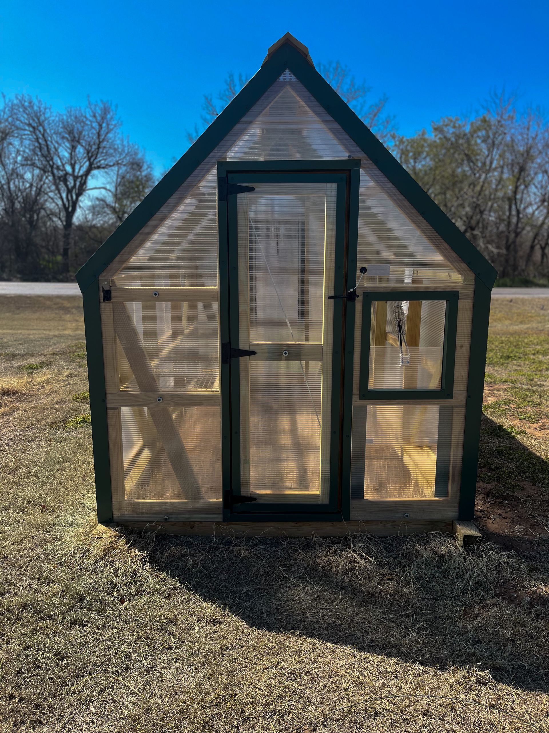 a 6 x 10 mini greenhouse 