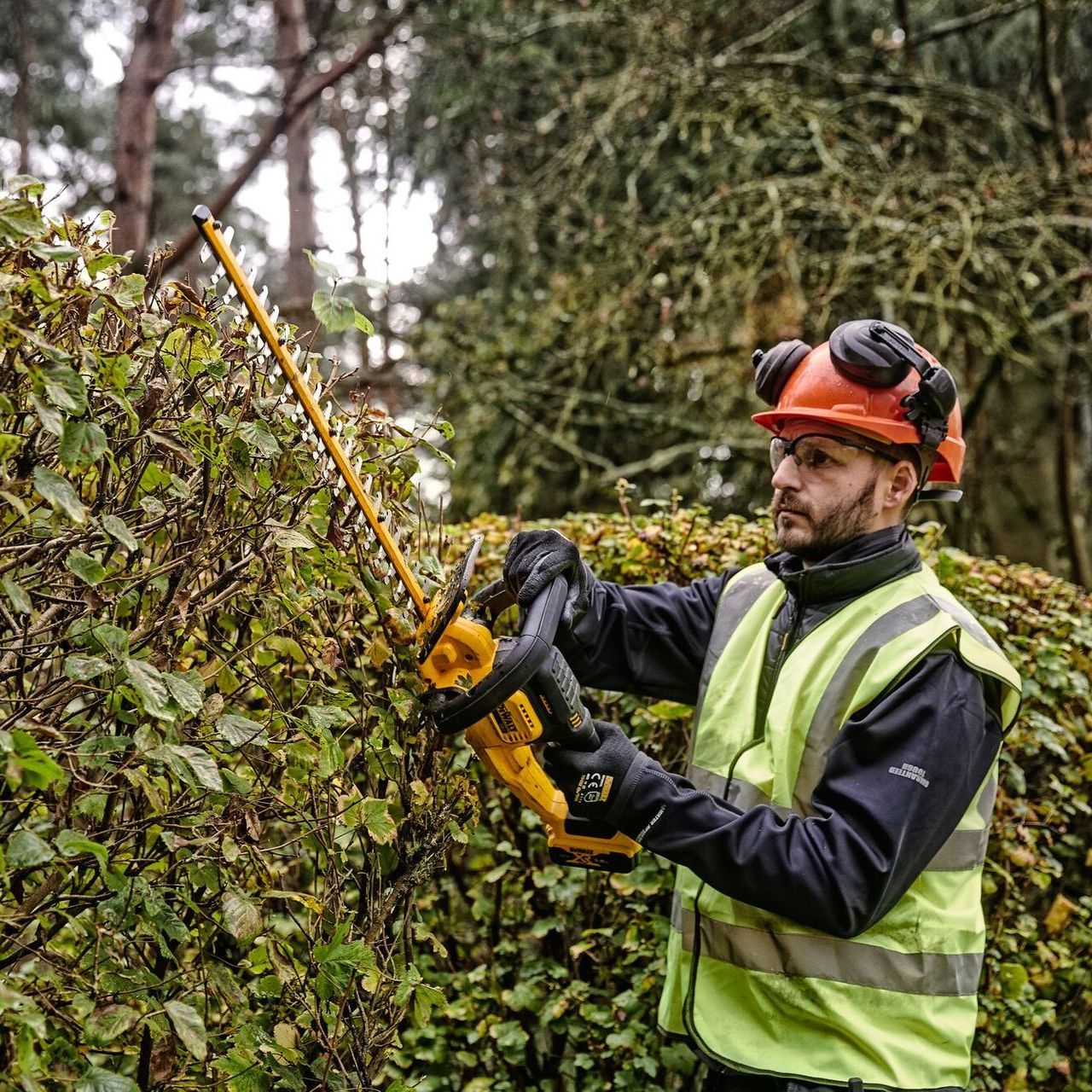 Man cutting a bush with a DeWalt hedge trimmer