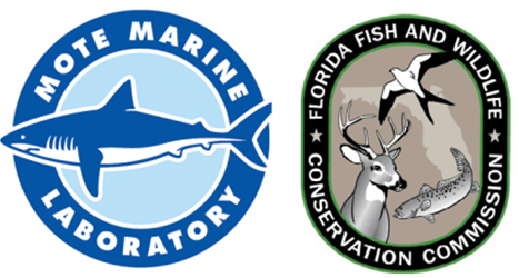 Mote marine laboratory and florida fish and wildlife conservation commission logos