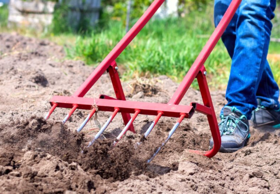 a person is using a rake to dig a hole in the ground .