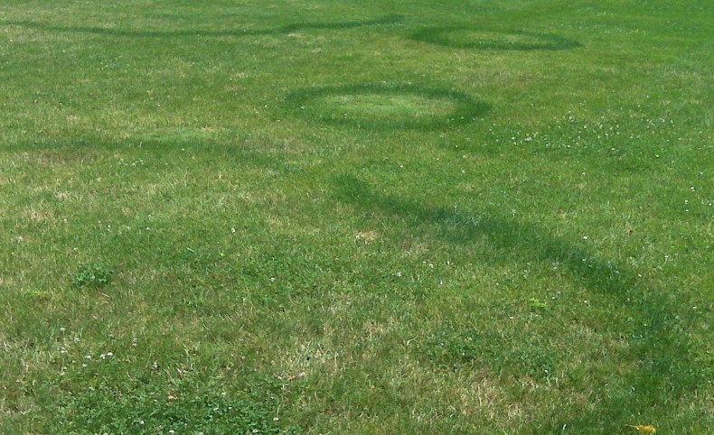 A lush green field of grass with circles in it