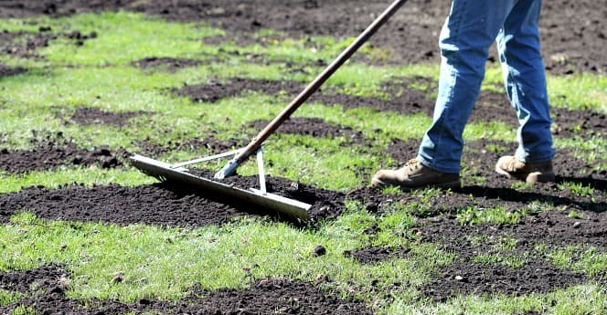 A person is raking the grass with a rake.