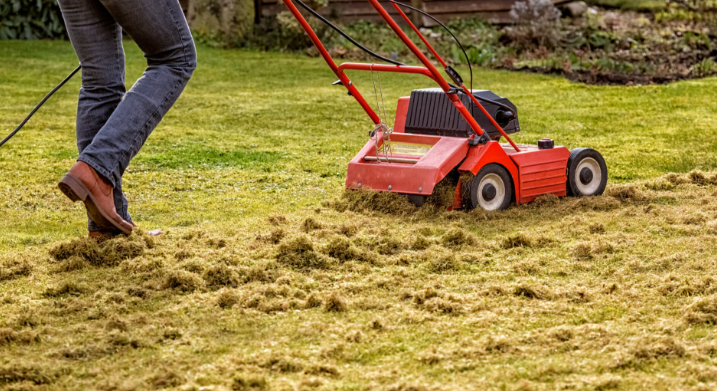 A person is using a lawn mower to remove weeds from a lawn.