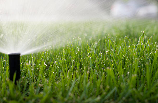 A close up of a sprinkler spraying water on a lush green lawn.