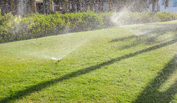 A sprinkler is spraying water on a lush green lawn.