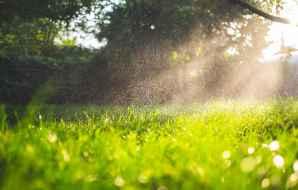 The sun is shining through the trees and a sprinkler is spraying water on the grass.