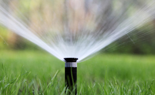 A sprinkler is spraying water on a lush green lawn.