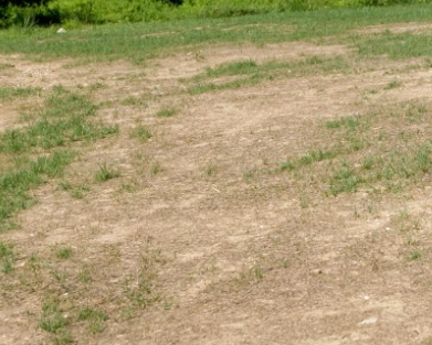 A field with a lot of grass and dirt in it.