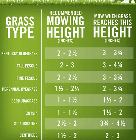 A chart showing the recommended mowing height for different grass types