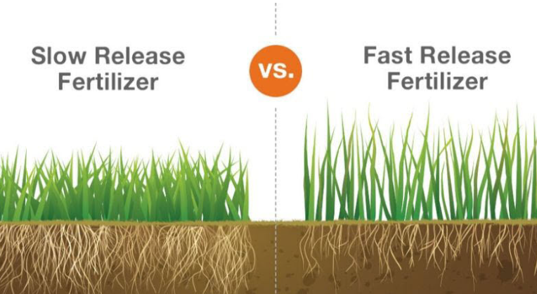 A diagram showing the difference between a slow release fertilizer and a fast release fertilizer