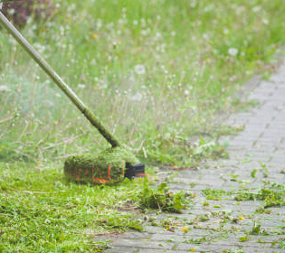 A person is using a lawn mower to cut grass on a sidewalk.