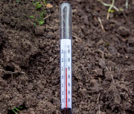 A thermometer is sitting on top of a pile of dirt.