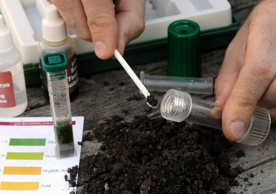 A person is taking a sample of soil from a test tube