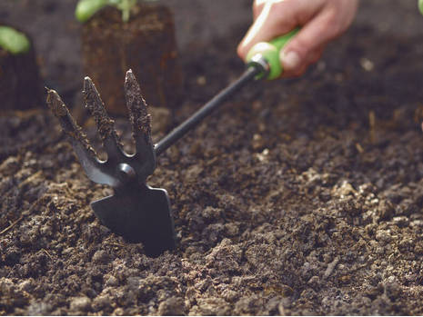 A person is digging in the soil with a rake