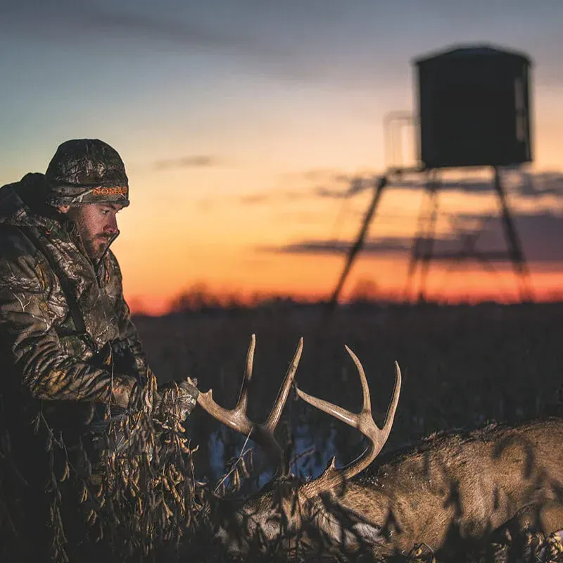 A man is feeding a deer in a field at sunset.