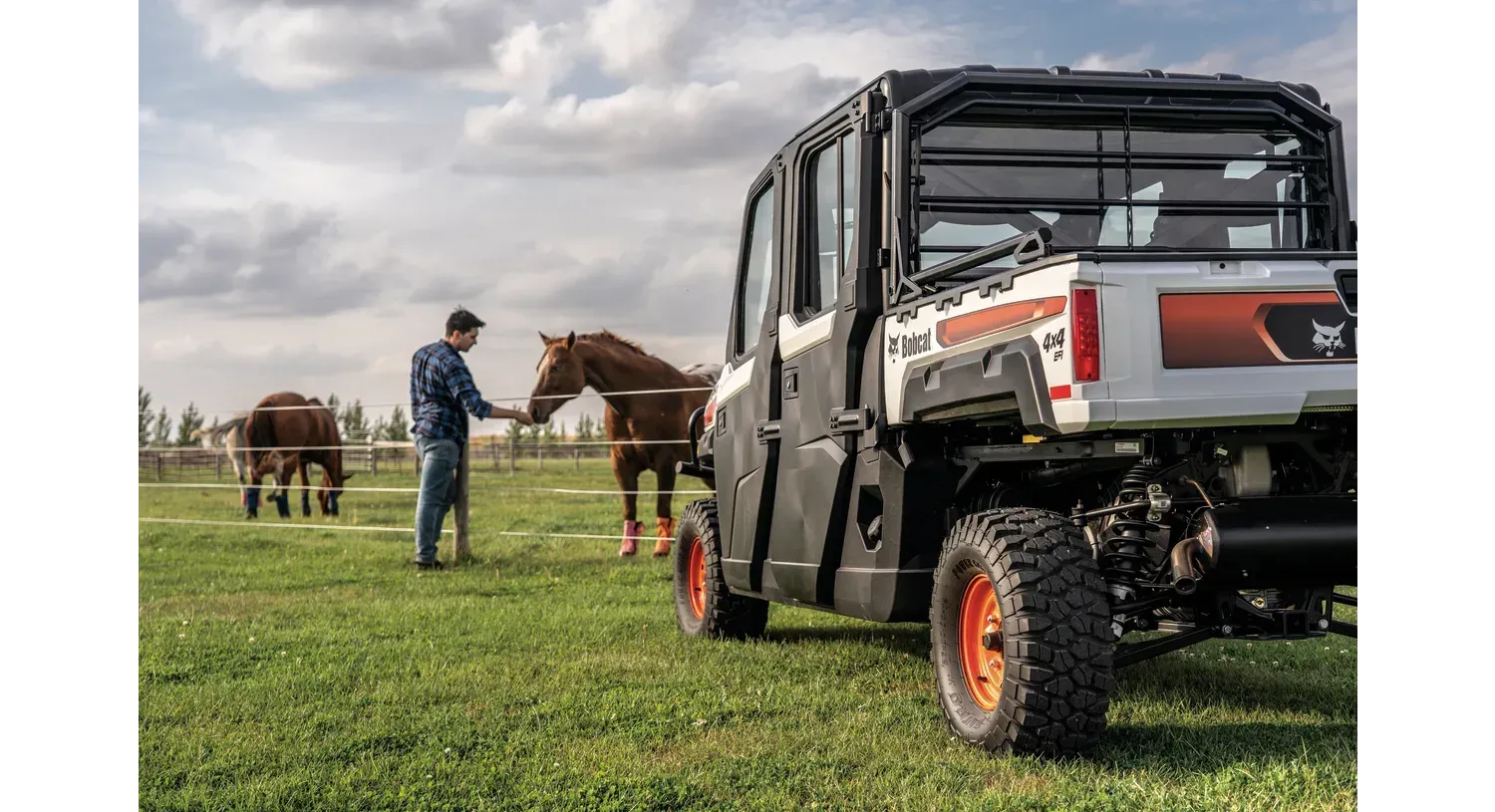 Un hombre está parado junto a un caballo en un campo.