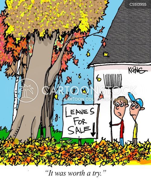 A cartoon of two men standing in front of a house with leaves for sale.