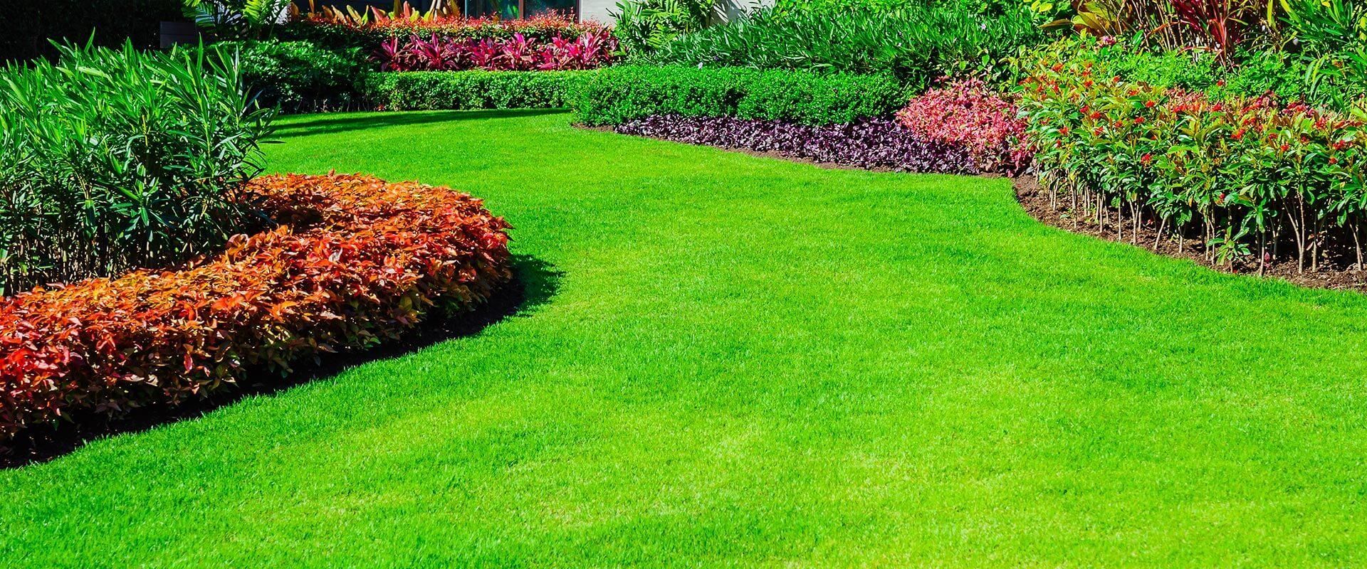 A lush green lawn surrounded by bushes and flowers in a garden.