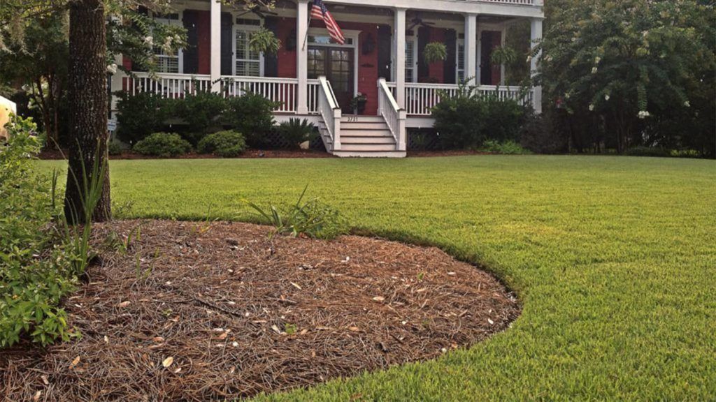 Front yard of house