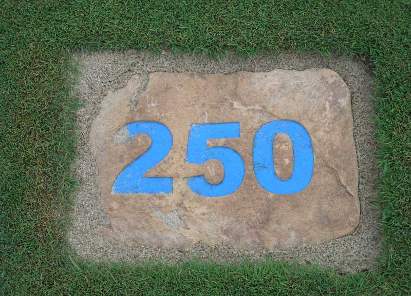 golf course marker 250