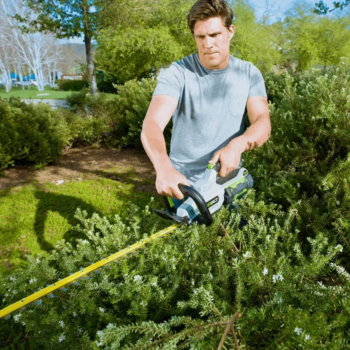 A man is cutting a bush with a hedge trimmer