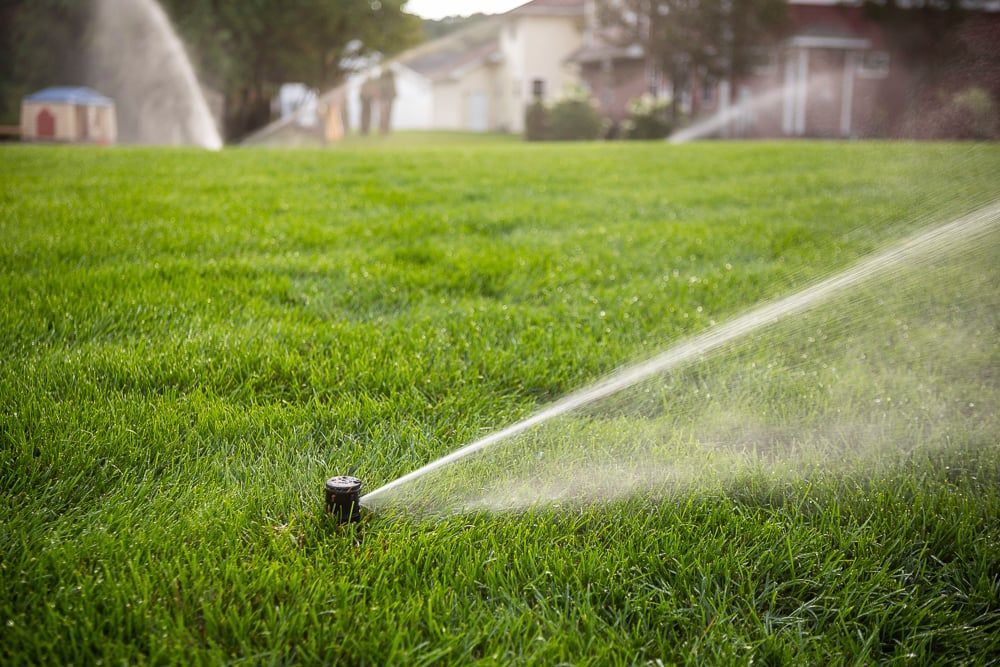 A sprinkler is spraying water on a lush green lawn.