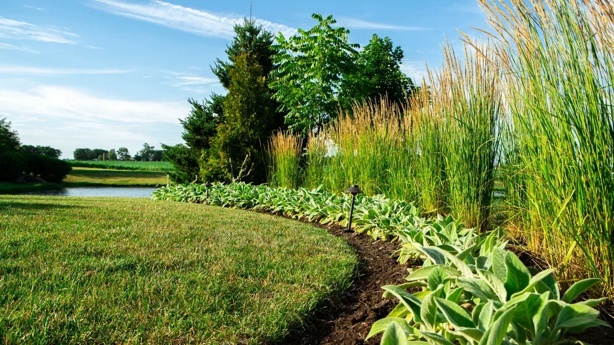 A lush green lawn with ornamental grasses with a pond in the background and trees in the background.