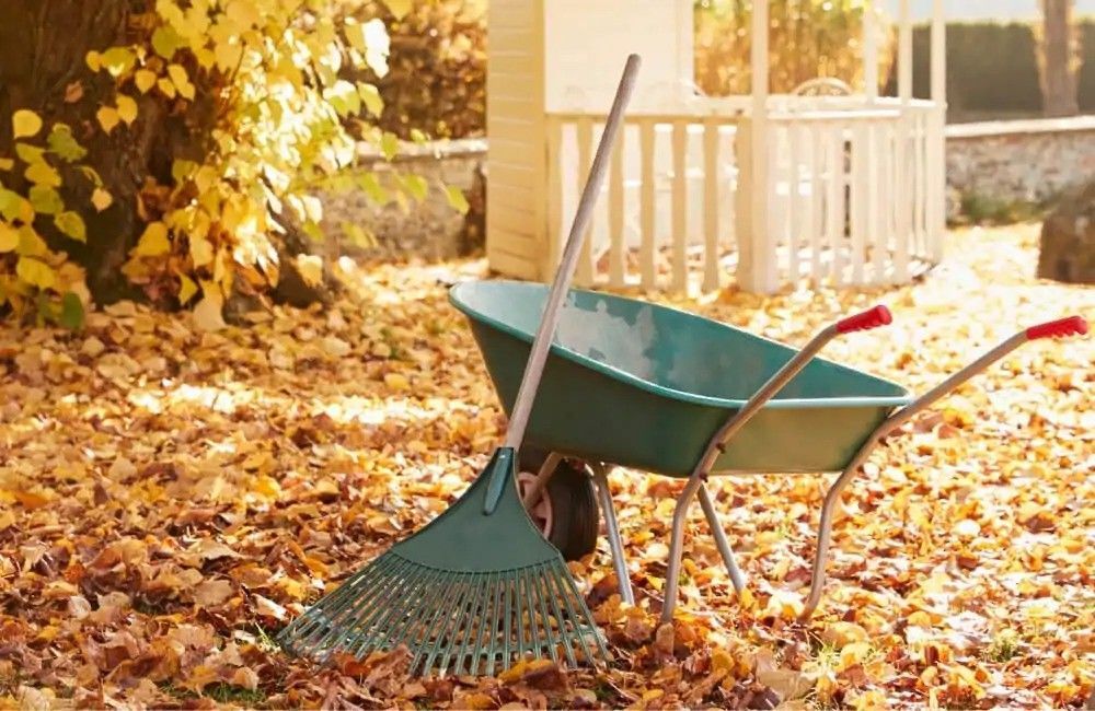 A wheelbarrow and rake are sitting on top of a pile of leaves.