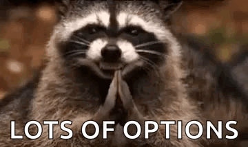 A raccoon is sitting in front of a sign that says `` lots of options ''.