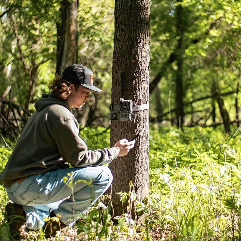 Man Checking Trail Camera