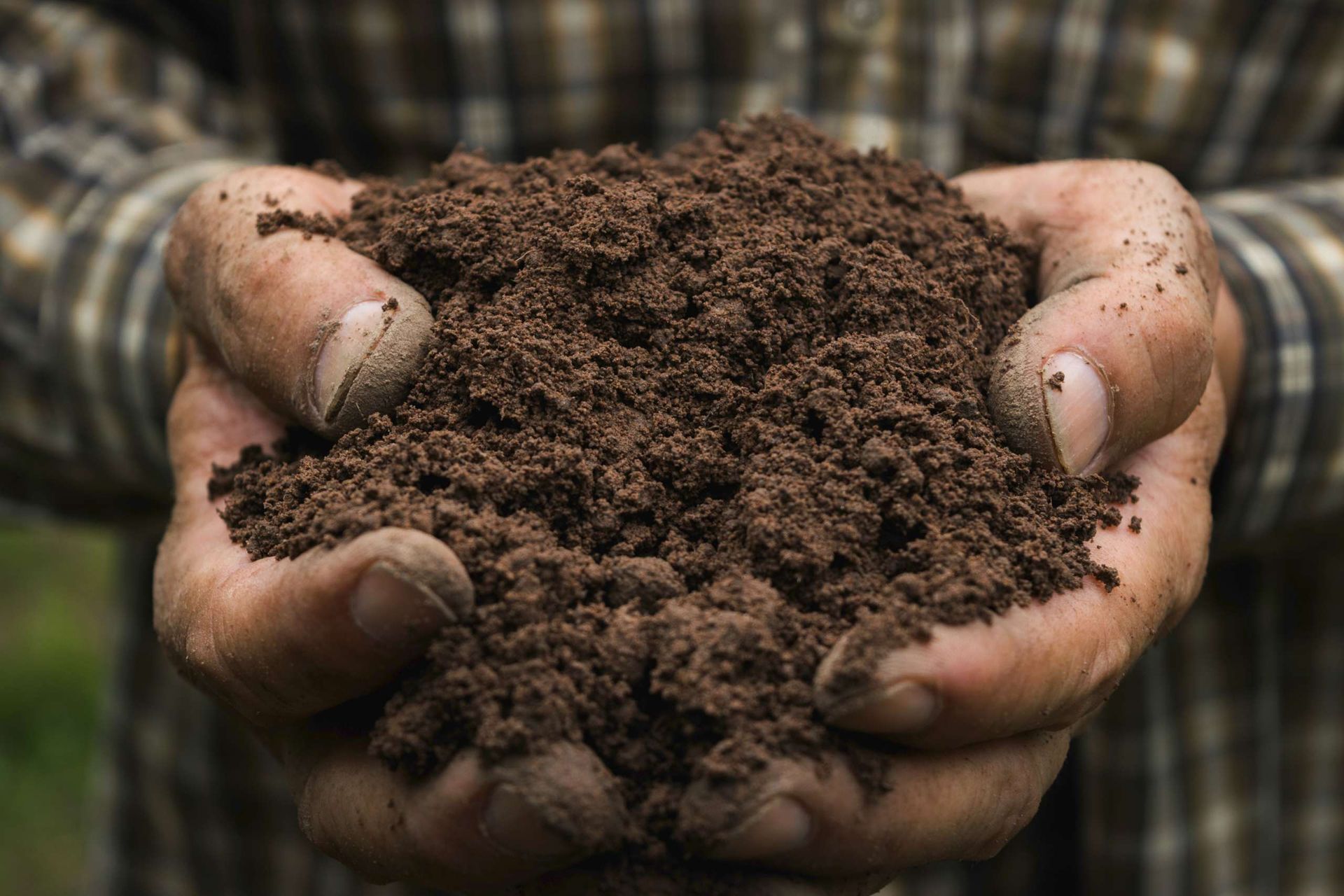 A person is holding a pile of dirt in their hands.