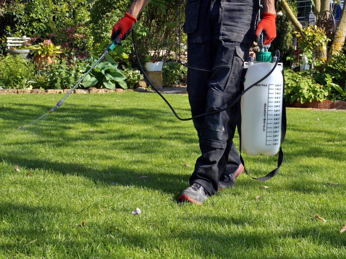 A man is spraying a lawn with a sprayer.