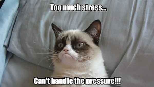 Grumpy cat is sitting on a couch with a caption that says `` too much stress ... can 't handle the pressure !! ''